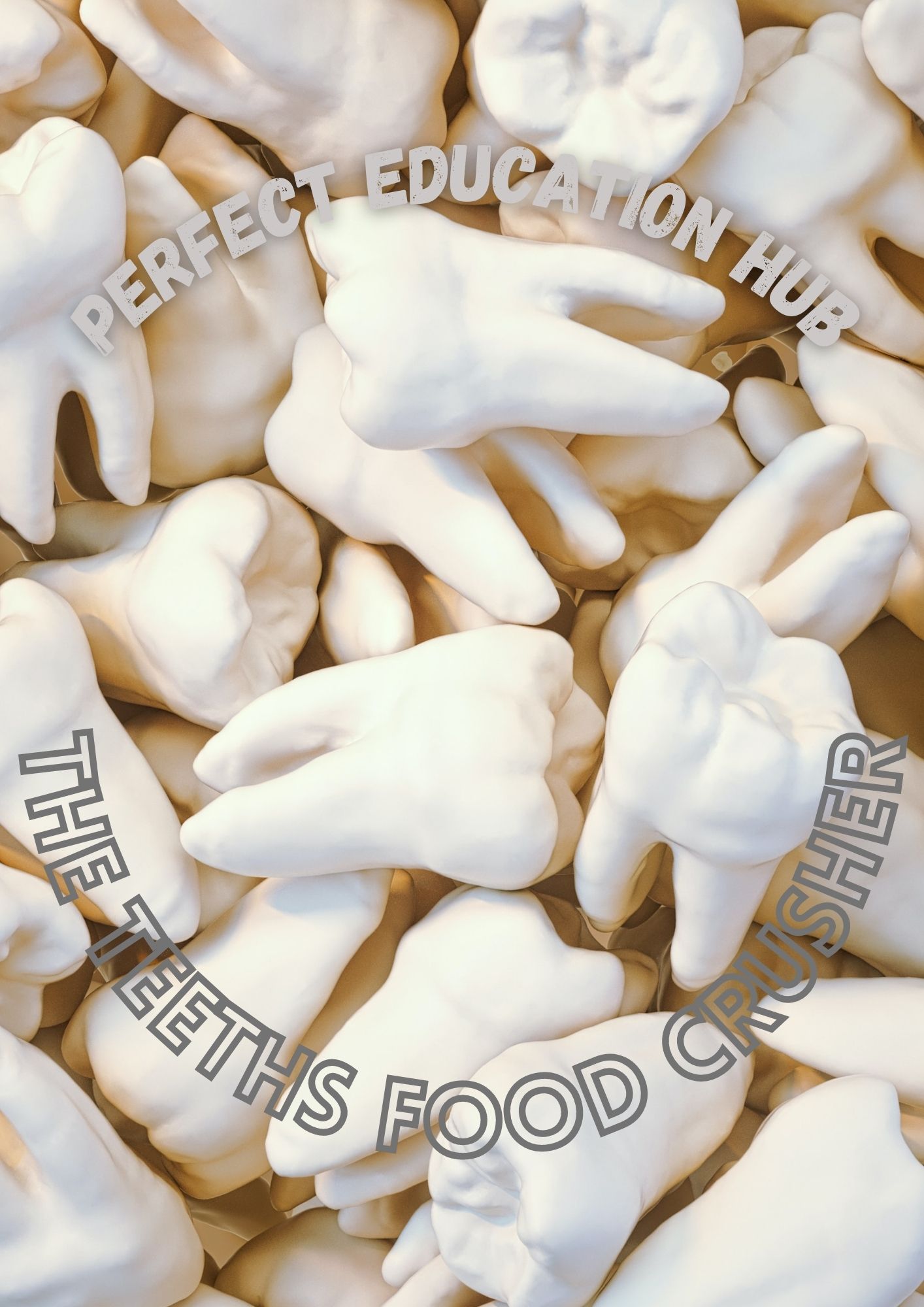 the-teeths-food-crusher